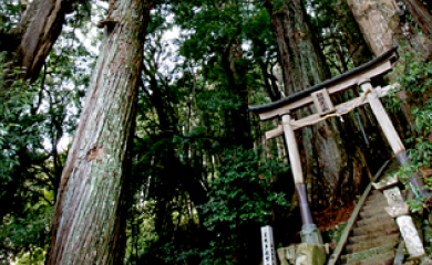 Information about Kumano Kodo